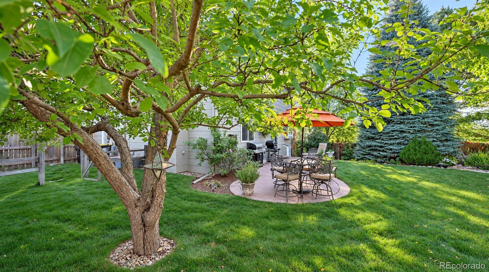 MLS Image #41 for 8450  candleflower circle,colorado springs, Colorado