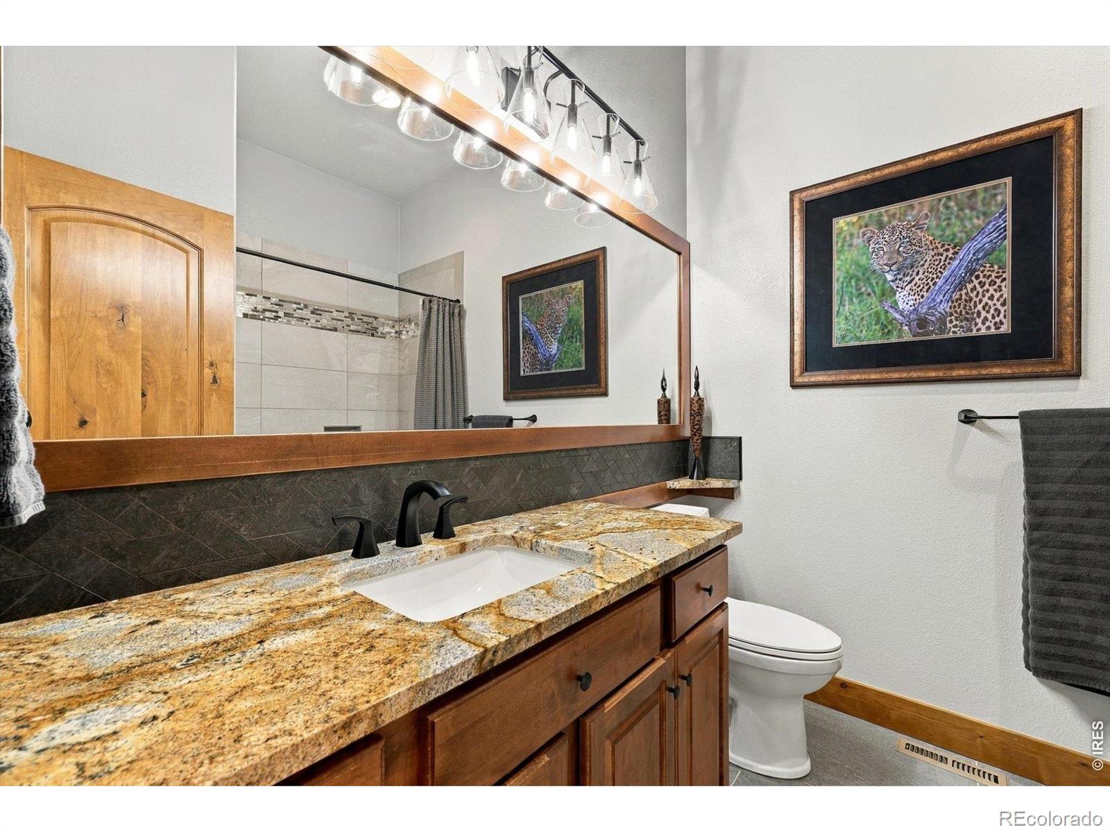 MLS Image #22 for 7093  crystal downs drive,windsor, Colorado