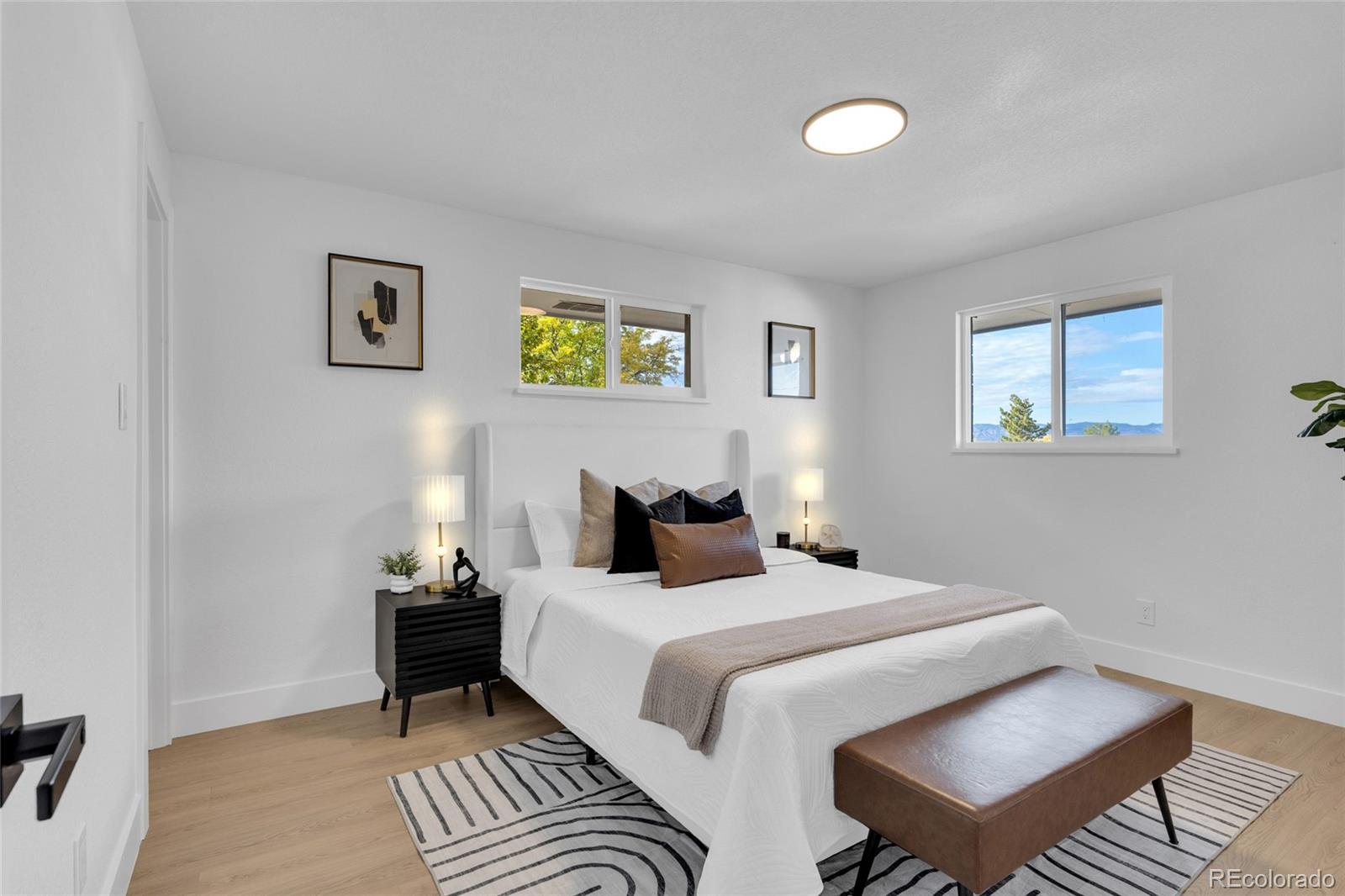 MLS Image #10 for 2907 e weaver avenue,centennial, Colorado