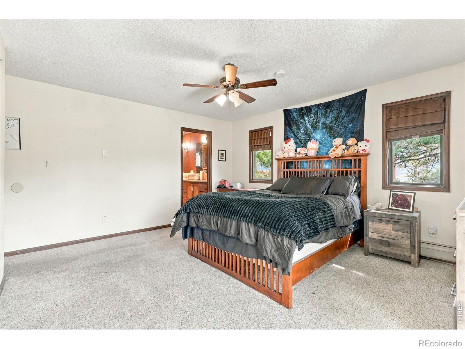 MLS Image #26 for 829  panorama circle,estes park, Colorado