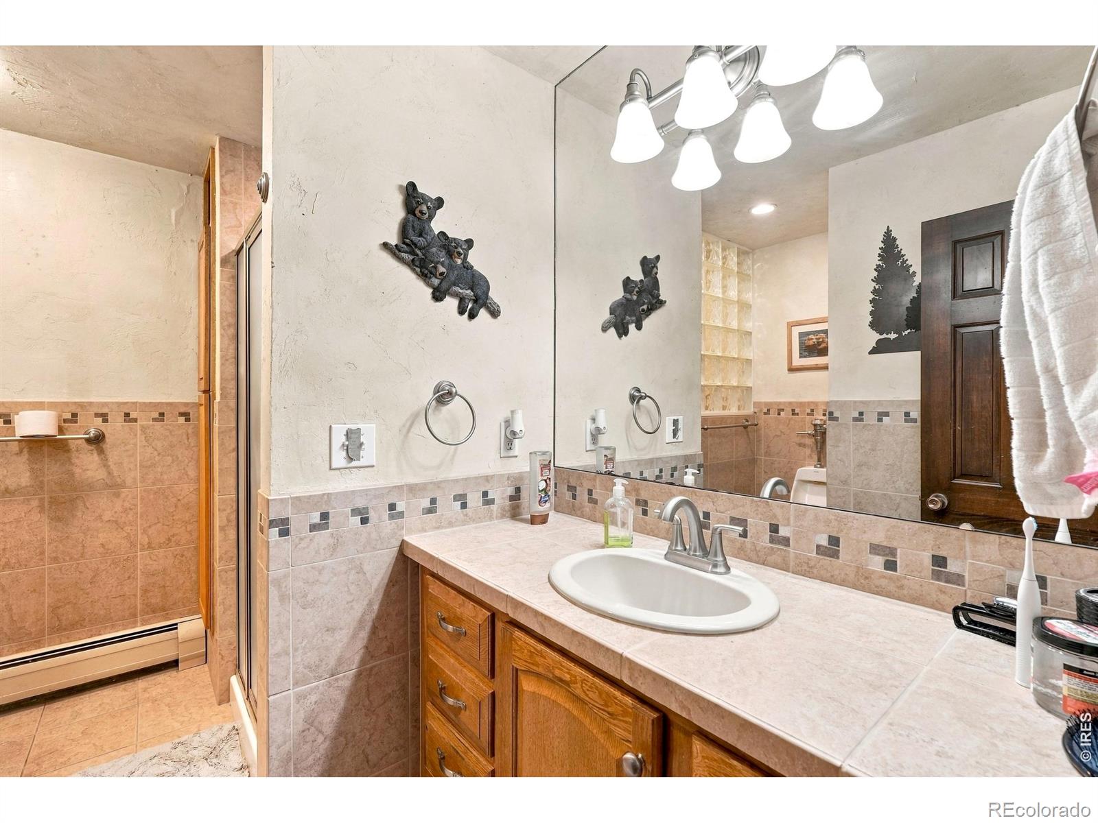 MLS Image #35 for 829  panorama circle,estes park, Colorado