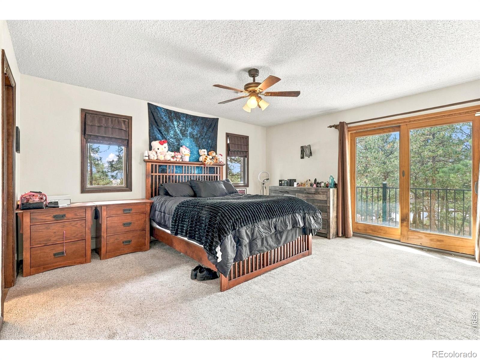 MLS Image #41 for 829  panorama circle,estes park, Colorado