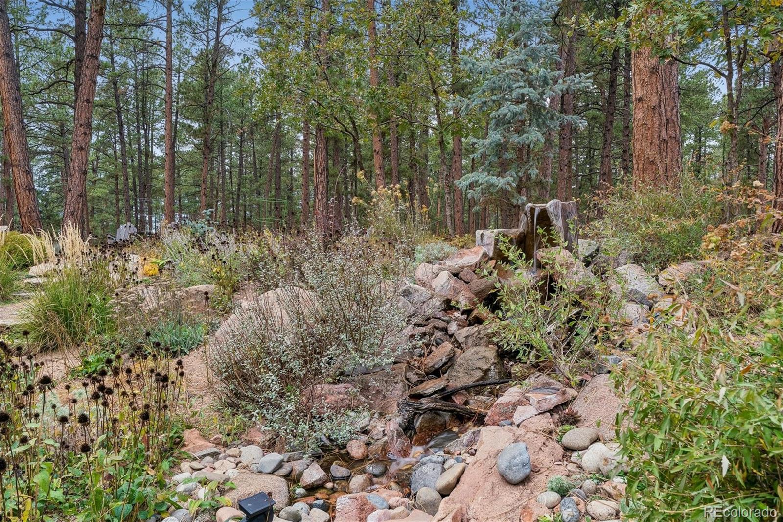 MLS Image #43 for 10281  fawn circle,franktown, Colorado