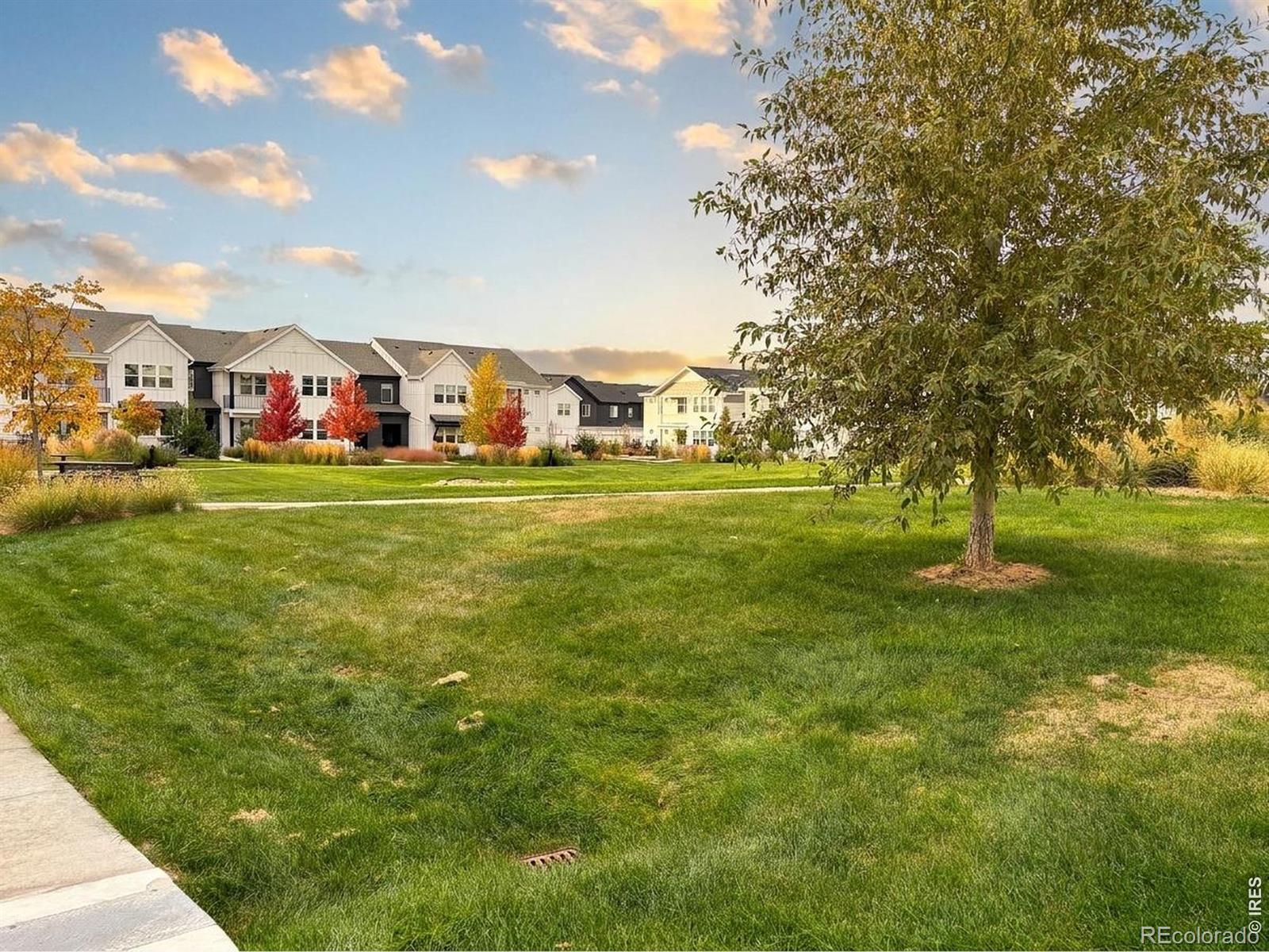 MLS Image #24 for 2296  setting sun drive,windsor, Colorado