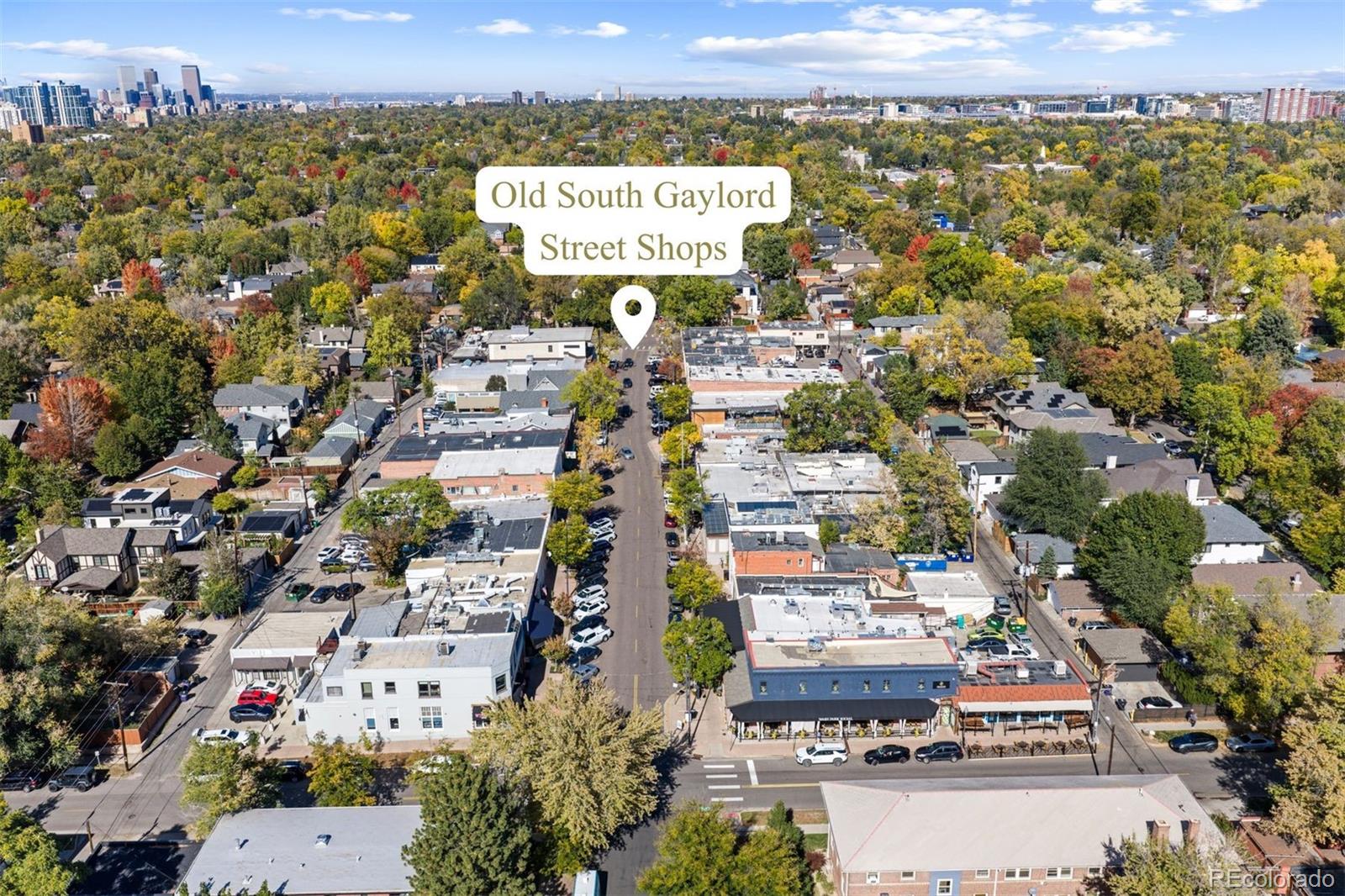 MLS Image #3 for 1369 s vine street,denver, Colorado