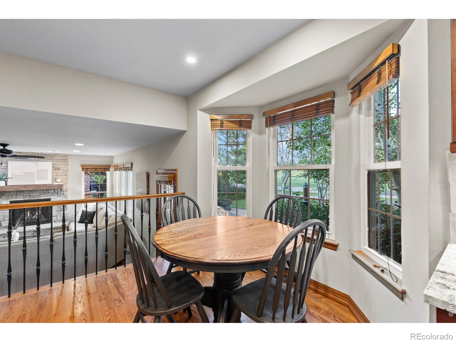MLS Image #11 for 7319  brixham circle,castle pines, Colorado
