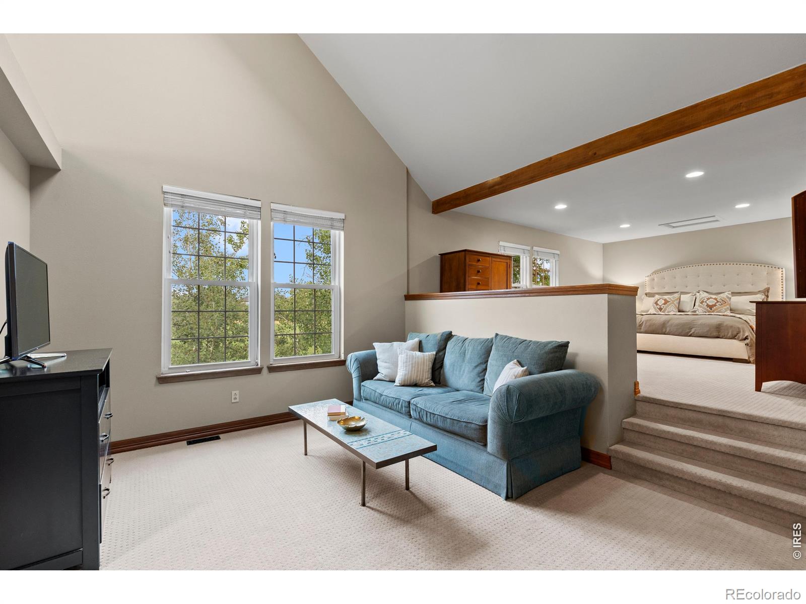 MLS Image #20 for 7319  brixham circle,castle pines, Colorado