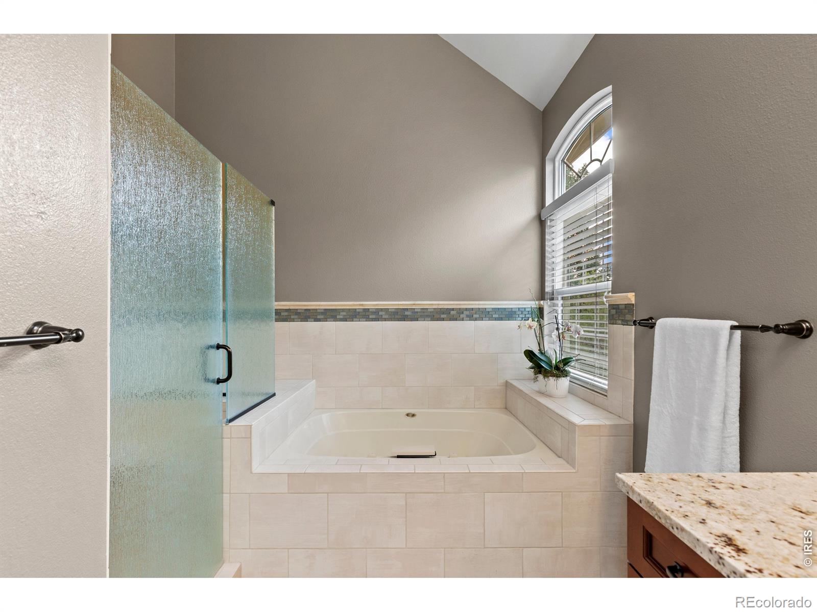 MLS Image #24 for 7319  brixham circle,castle pines, Colorado