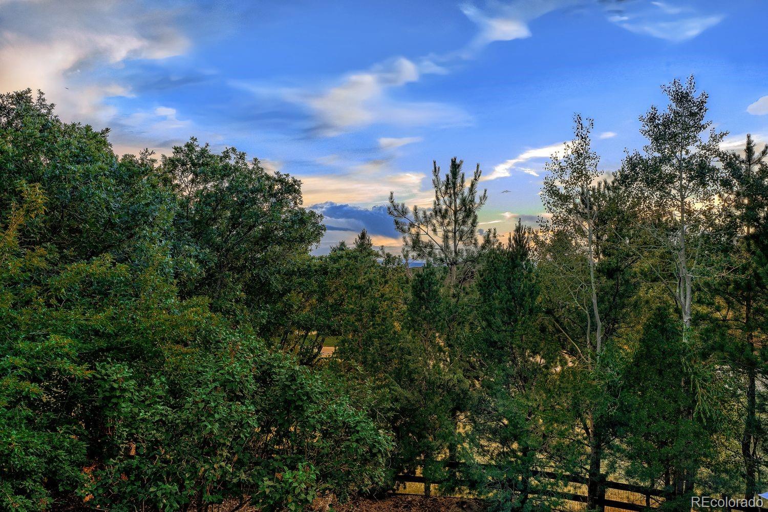 MLS Image #9 for 5097  morningside way,parker, Colorado