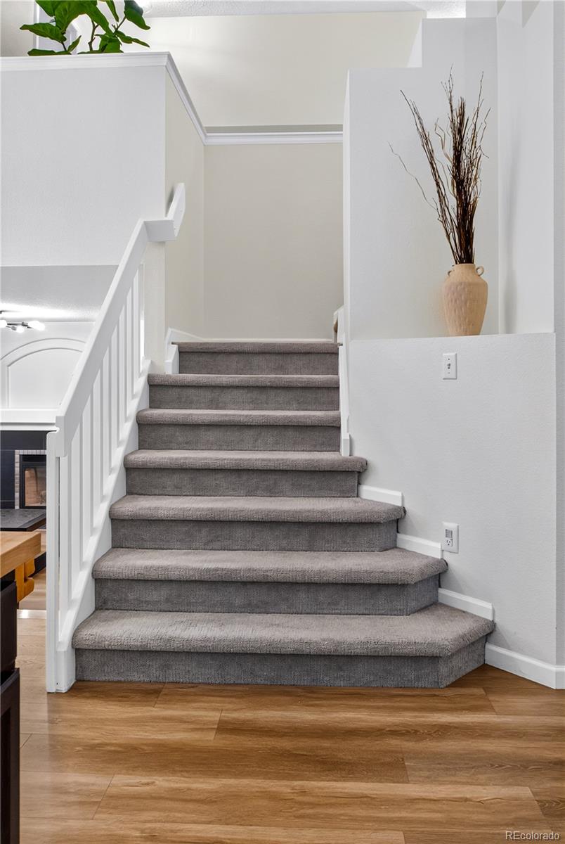 MLS Image #12 for 9647  cove creek drive,highlands ranch, Colorado