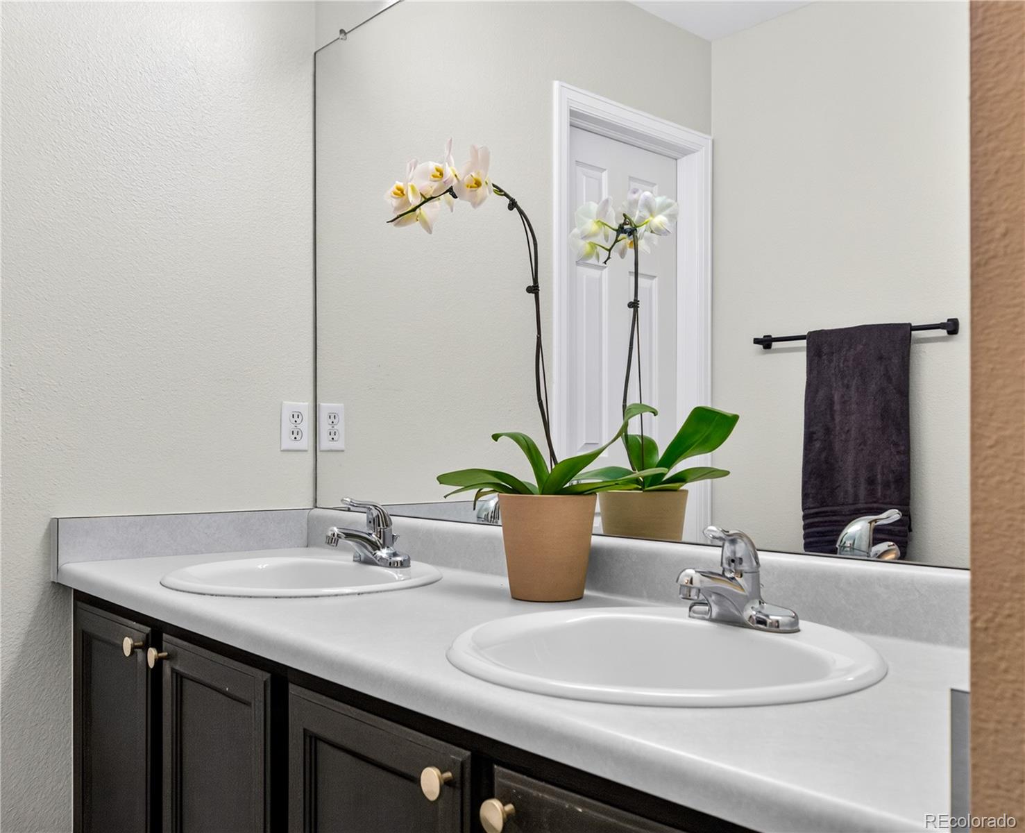MLS Image #16 for 9647  cove creek drive,highlands ranch, Colorado