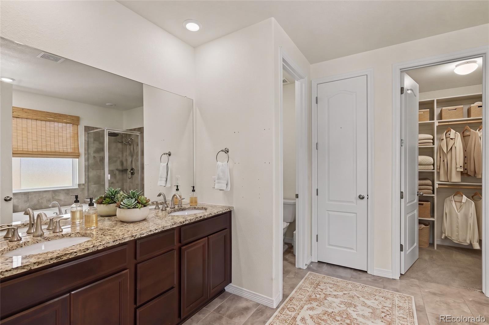 MLS Image #16 for 8777  ginkgo loop,parker, Colorado
