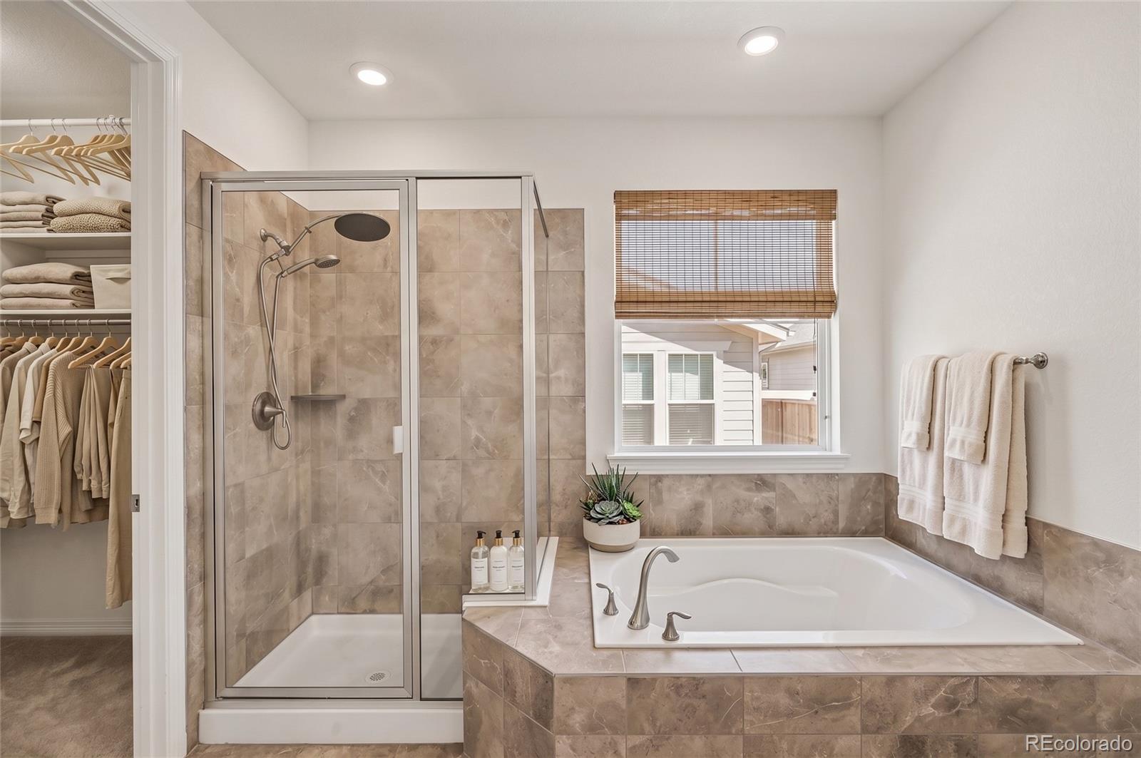 MLS Image #18 for 8777  ginkgo loop,parker, Colorado