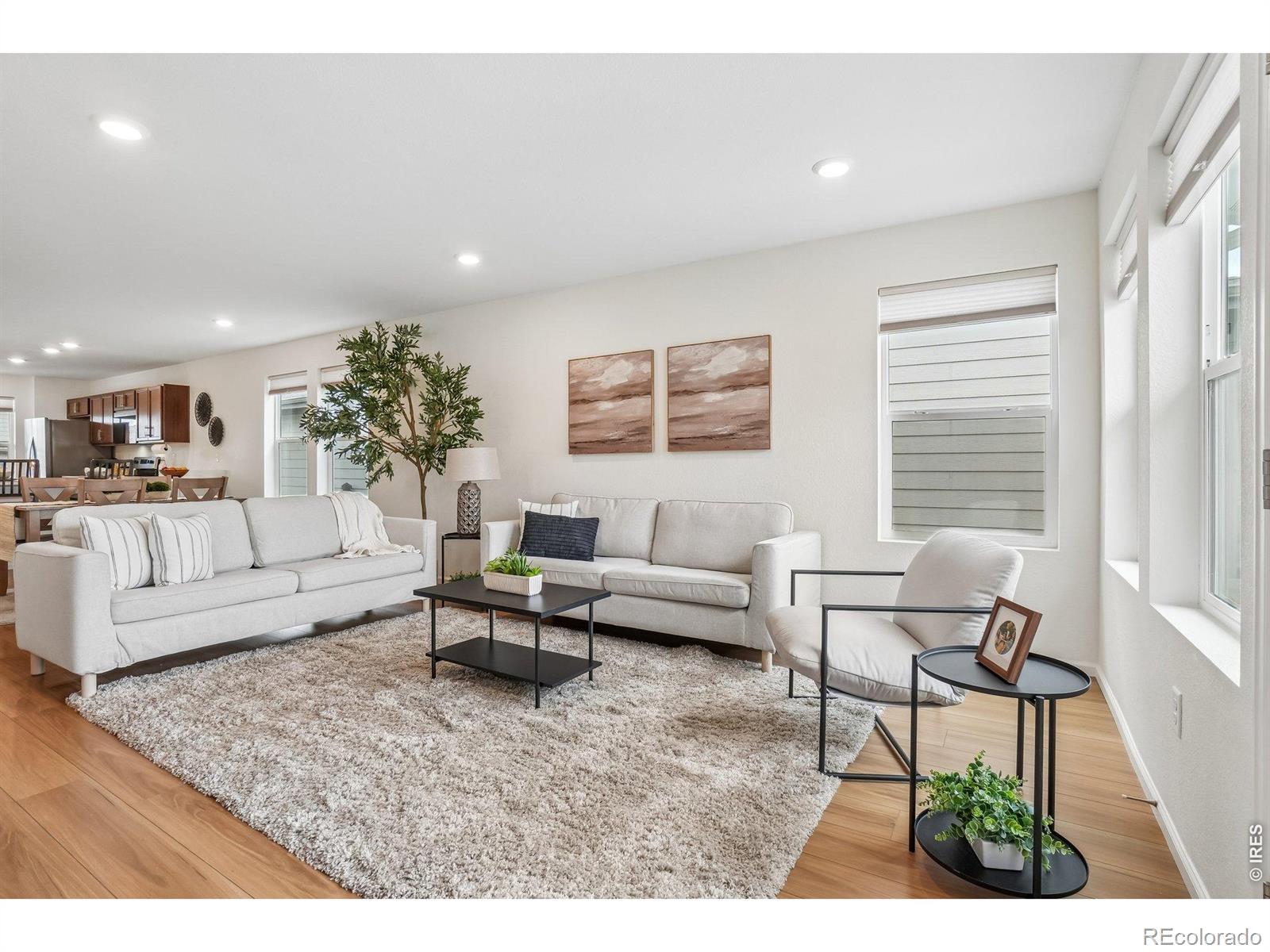 MLS Image #3 for 1882  spotted owl court,brighton, Colorado