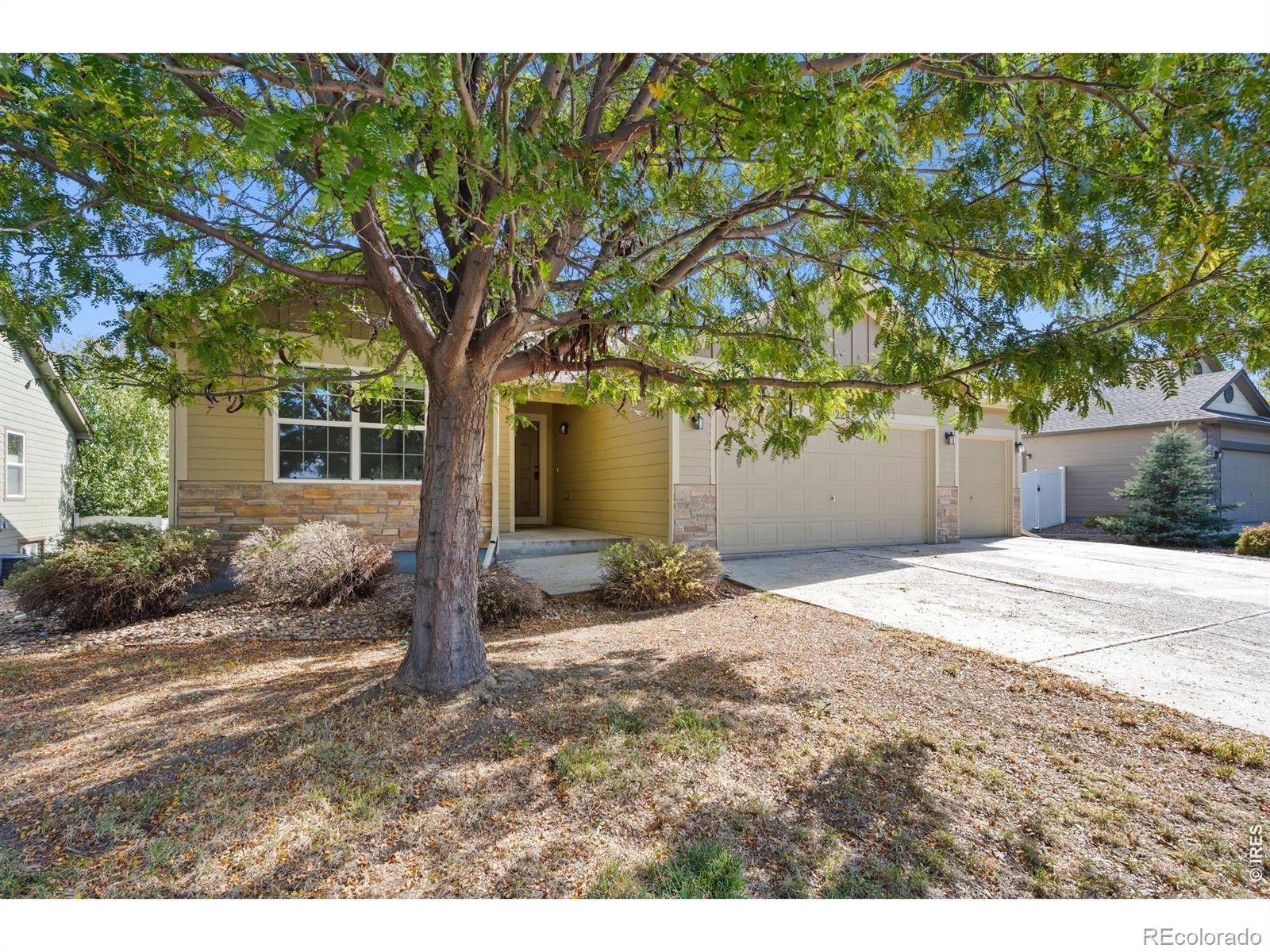 MLS Image #2 for 16228  cinnamon circle,mead, Colorado