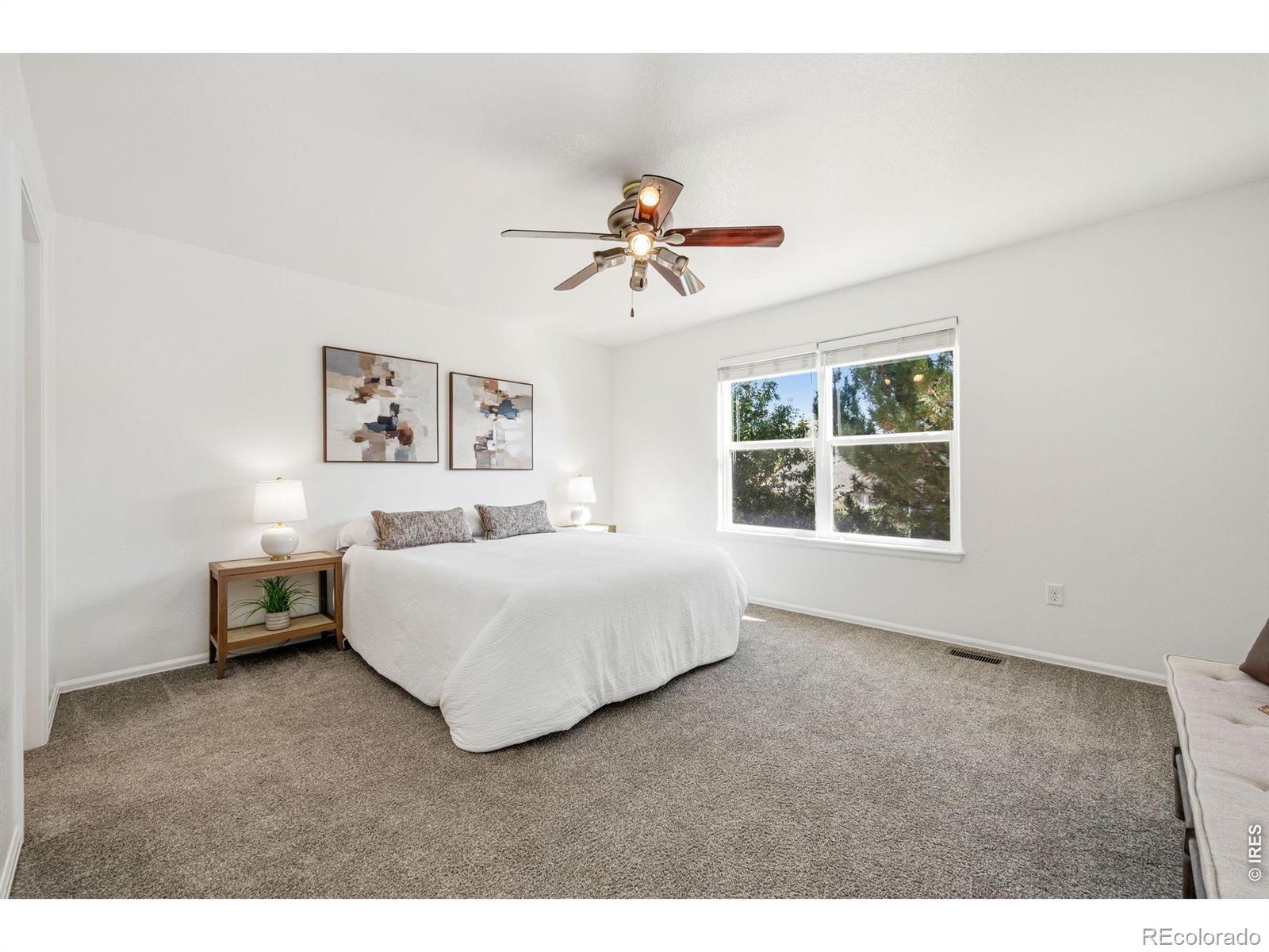 MLS Image #8 for 16228  cinnamon circle,mead, Colorado