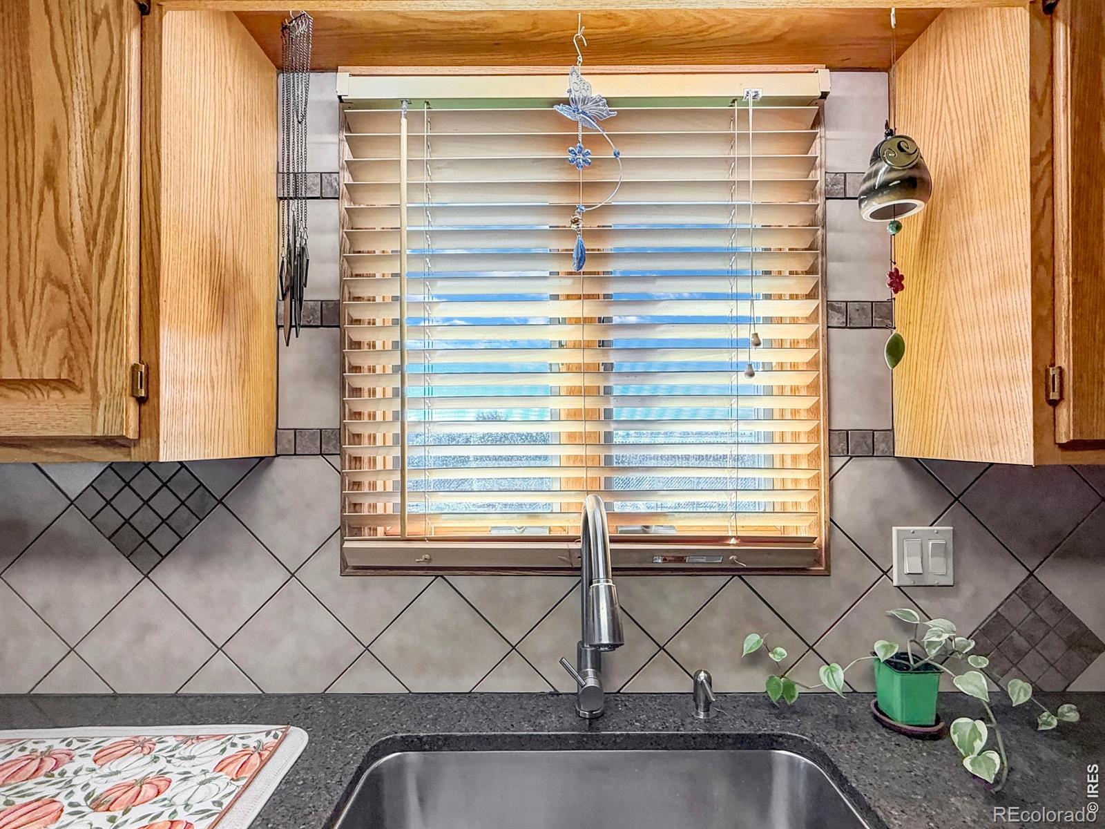 MLS Image #10 for 903  holly drive,sterling, Colorado