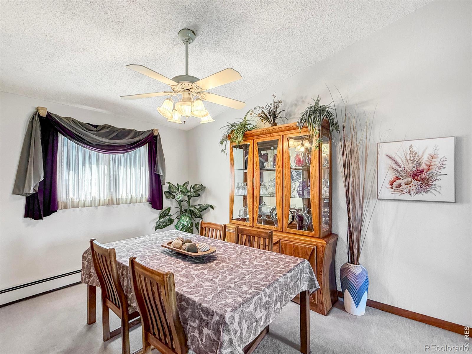 MLS Image #7 for 903  holly drive,sterling, Colorado
