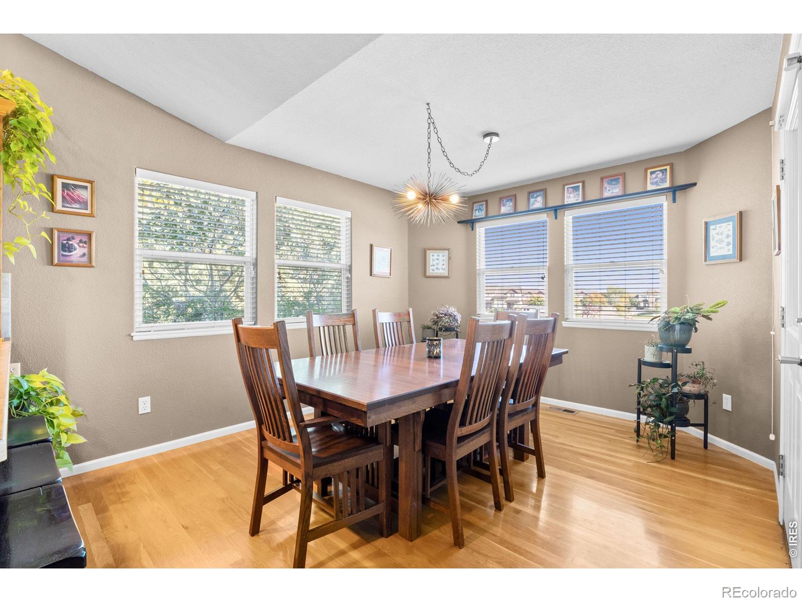 MLS Image #11 for 2802  chase drive,fort collins, Colorado