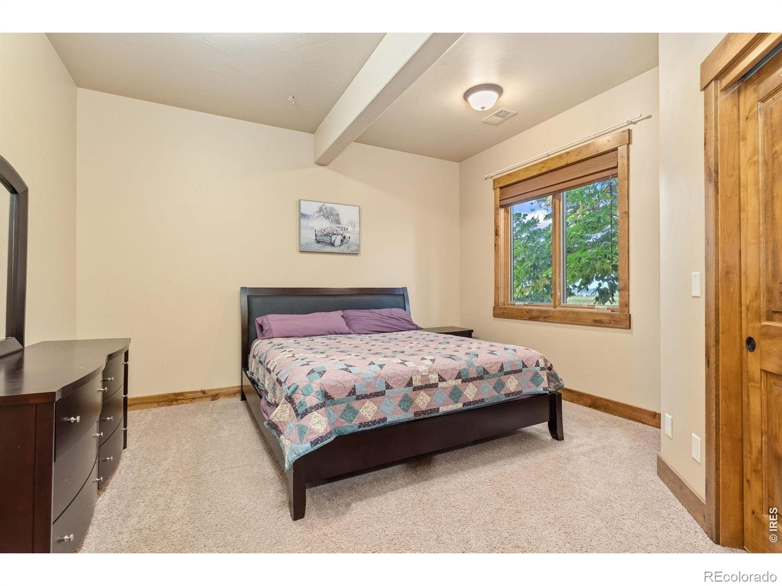 MLS Image #29 for 8328  coeur dalene drive,fort collins, Colorado