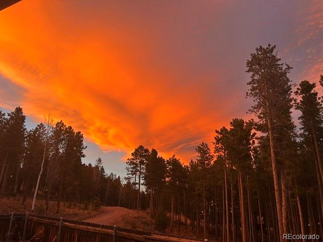 MLS Image #3 for 9264  sandy lane,conifer, Colorado