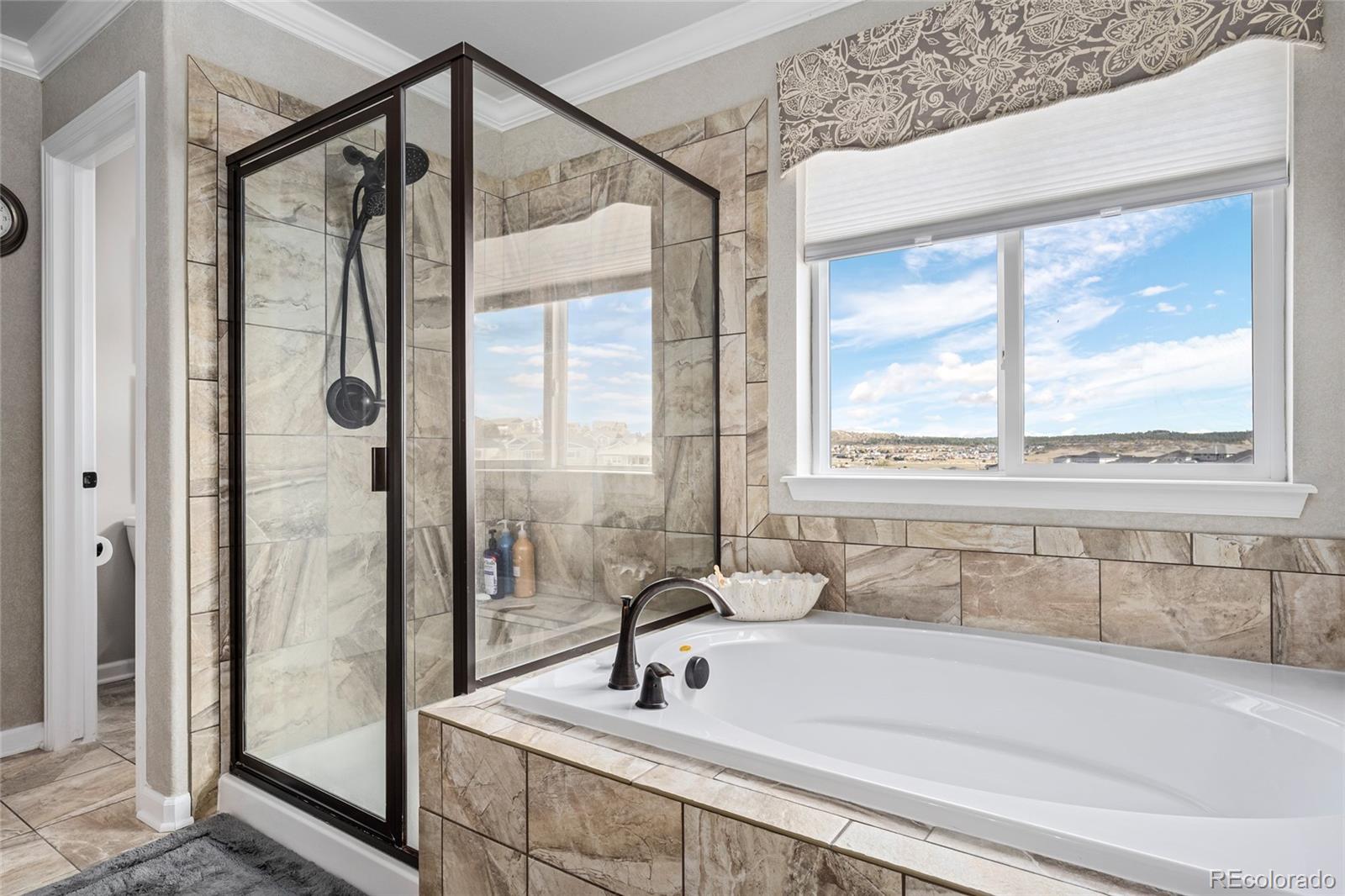 MLS Image #25 for 2952  rising moon way,castle rock, Colorado