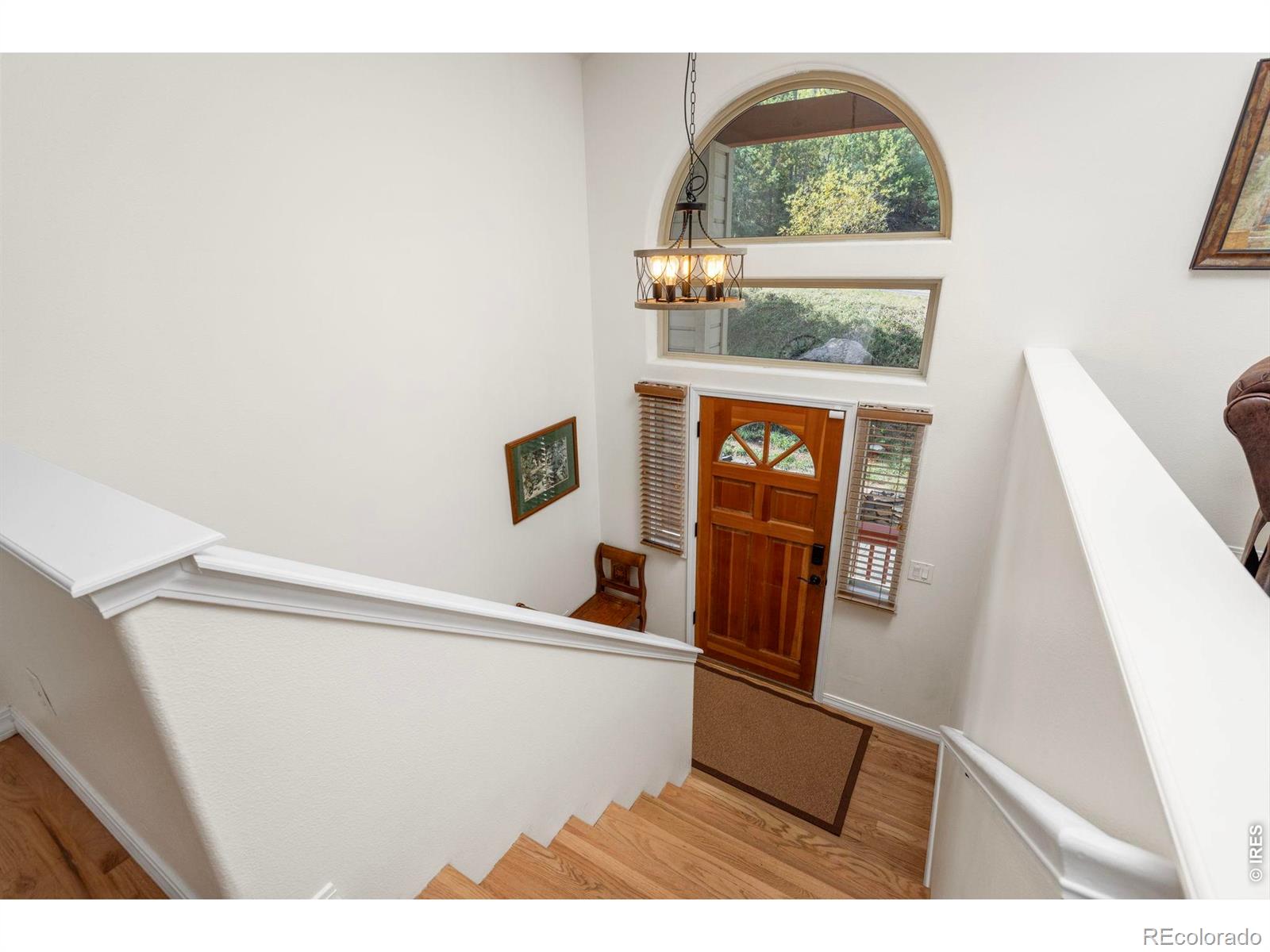 MLS Image #12 for 9552  pine springs drive,morrison, Colorado