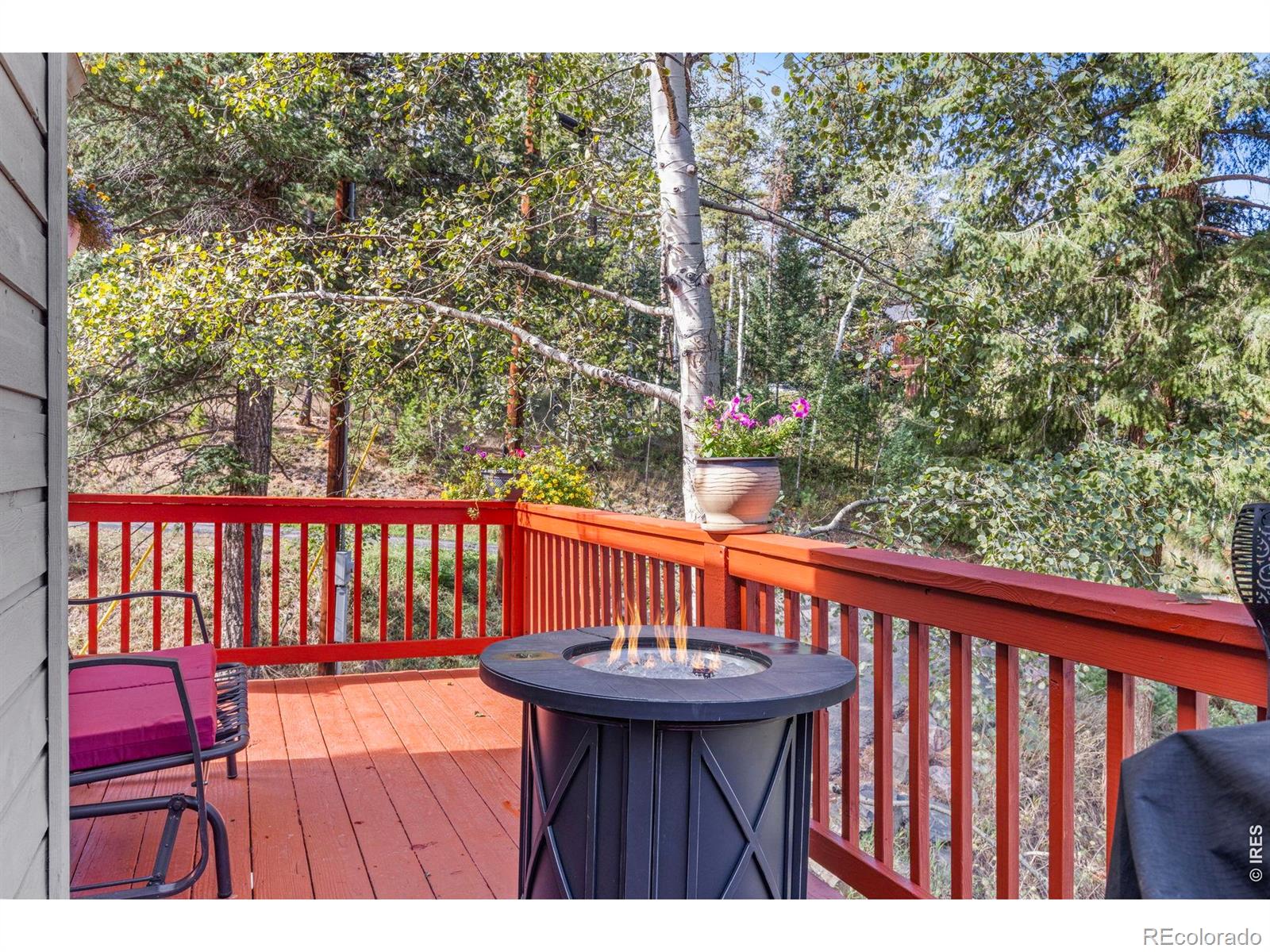 MLS Image #19 for 9552  pine springs drive,morrison, Colorado