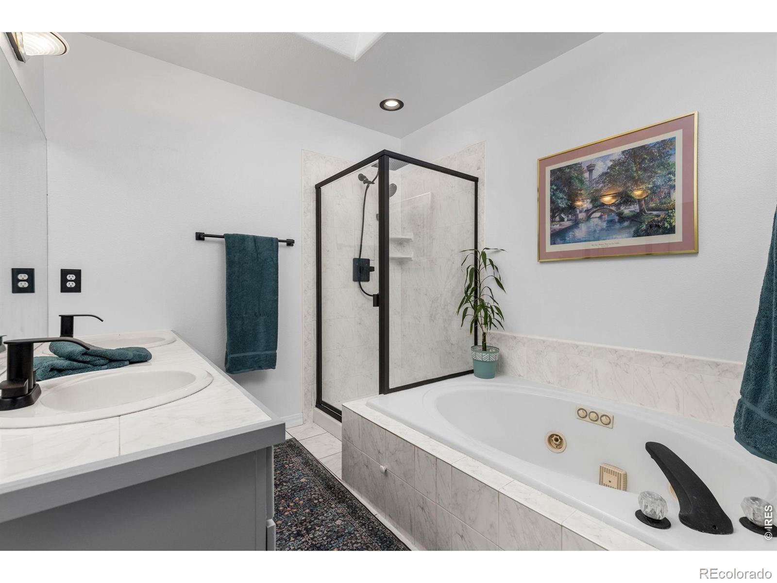 MLS Image #4 for 9552  pine springs drive,morrison, Colorado
