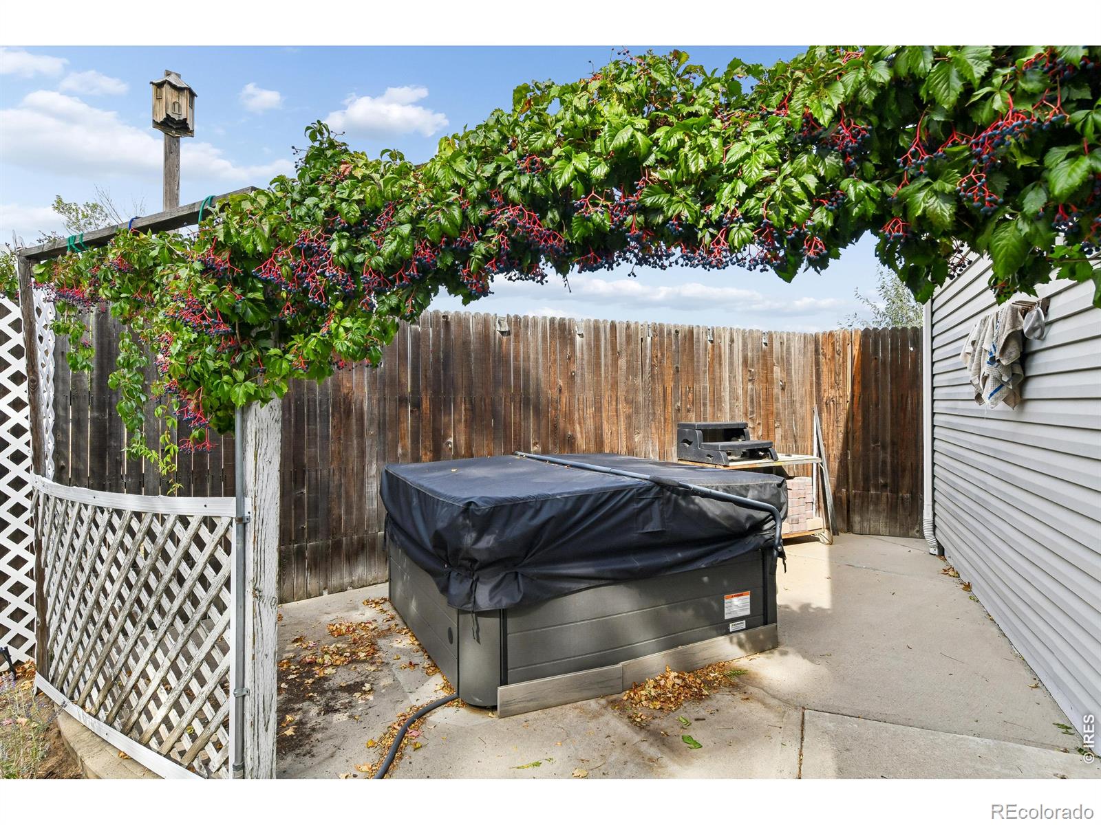 MLS Image #1 for 100  flora court,frederick, Colorado