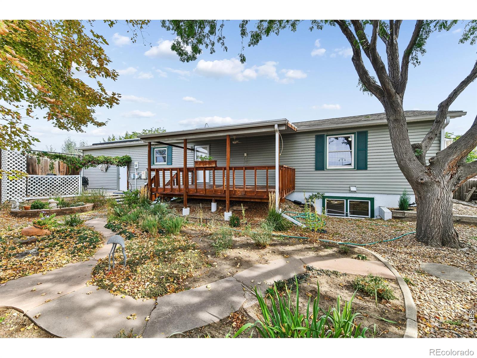 MLS Image #2 for 100  flora court,frederick, Colorado