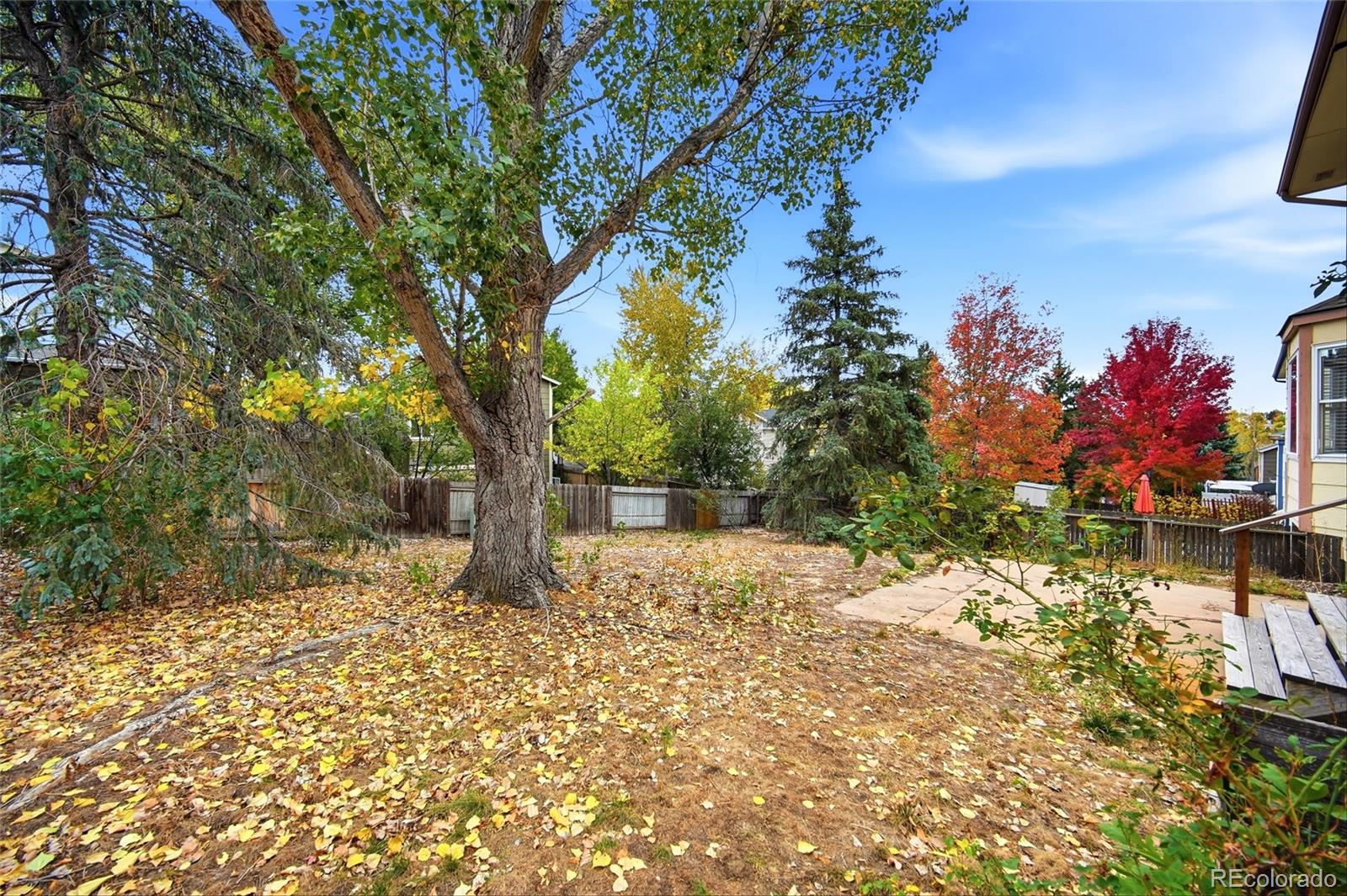 MLS Image #36 for 3840  sedgewood way,colorado springs, Colorado