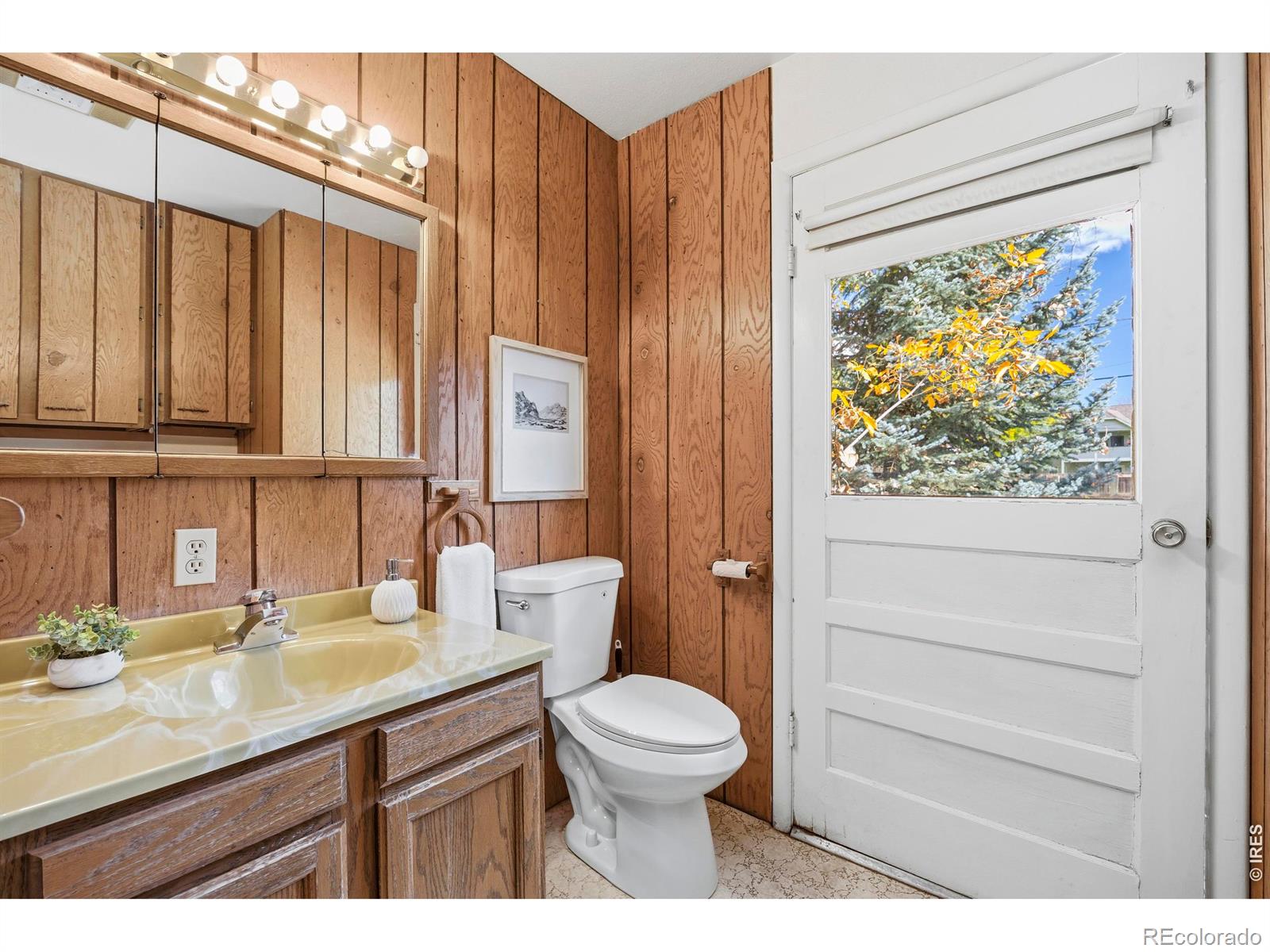 MLS Image #20 for 2804  tharp drive,laporte, Colorado