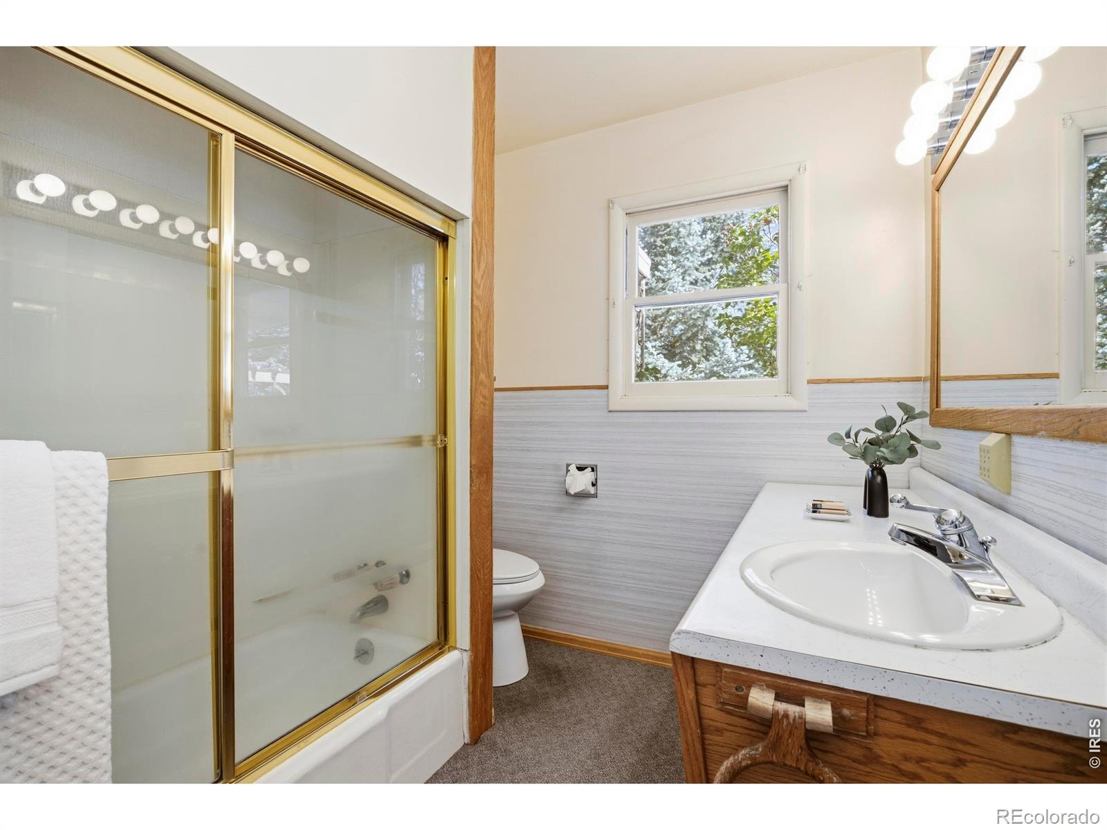 MLS Image #27 for 2804  tharp drive,laporte, Colorado