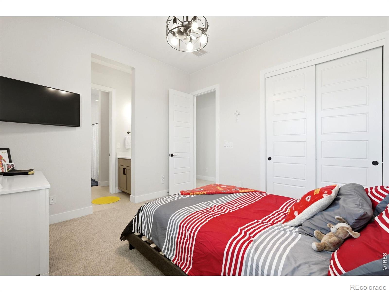 MLS Image #24 for 1702  branching canopy drive,windsor, Colorado