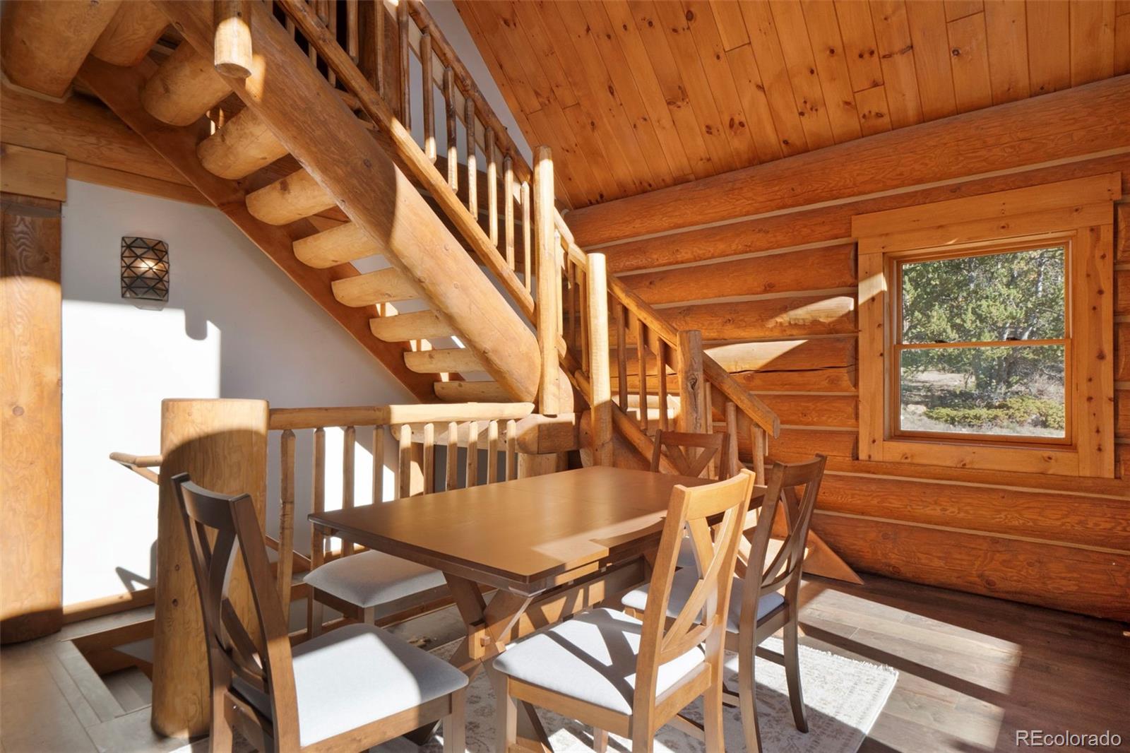 MLS Image #10 for 1204  zebulon street,fairplay, Colorado