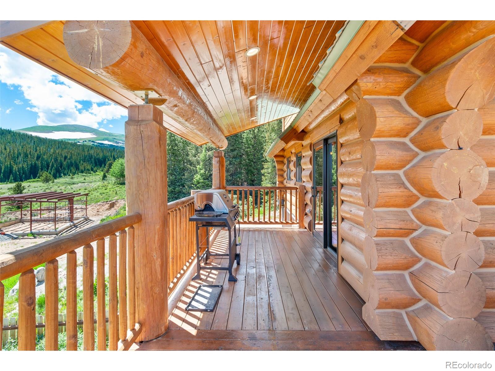 MLS Image #11 for 1204  zebulon street,fairplay, Colorado