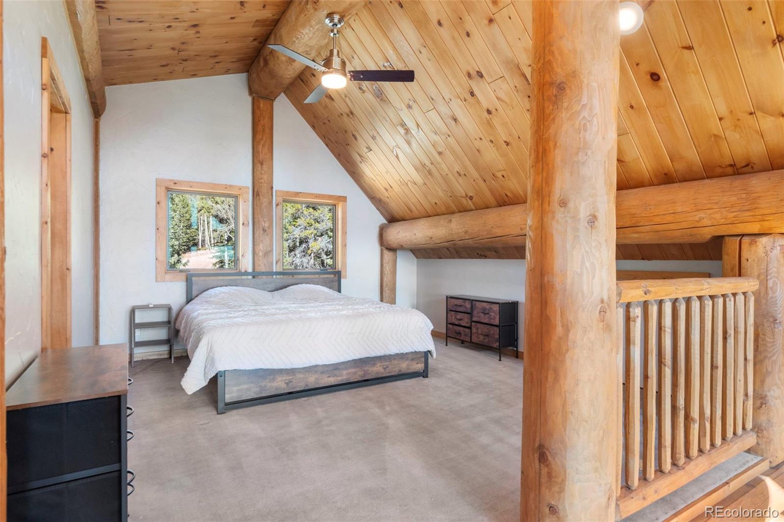 MLS Image #12 for 1204  zebulon street,fairplay, Colorado