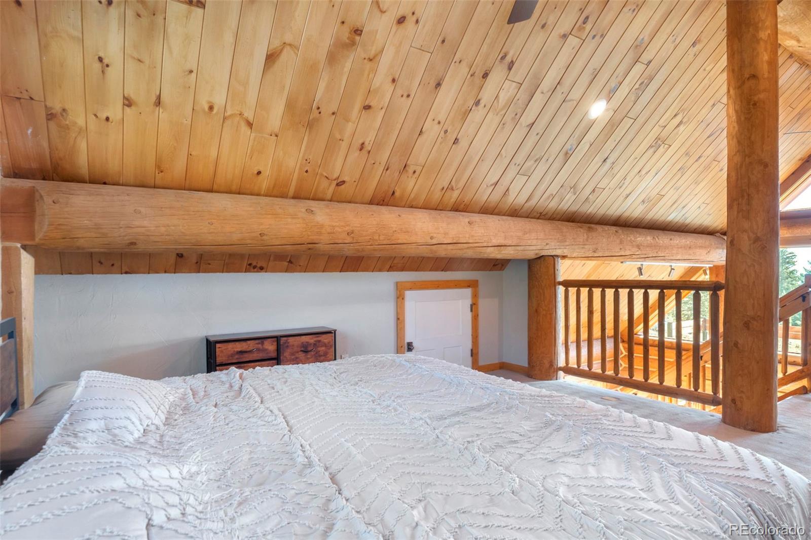 MLS Image #13 for 1204  zebulon street,fairplay, Colorado