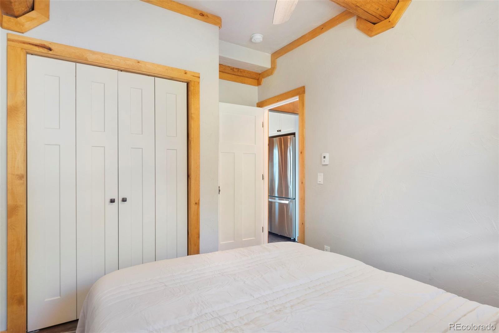 MLS Image #14 for 1204  zebulon street,fairplay, Colorado