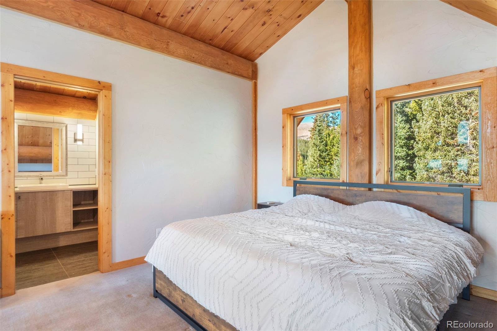 MLS Image #15 for 1204  zebulon street,fairplay, Colorado