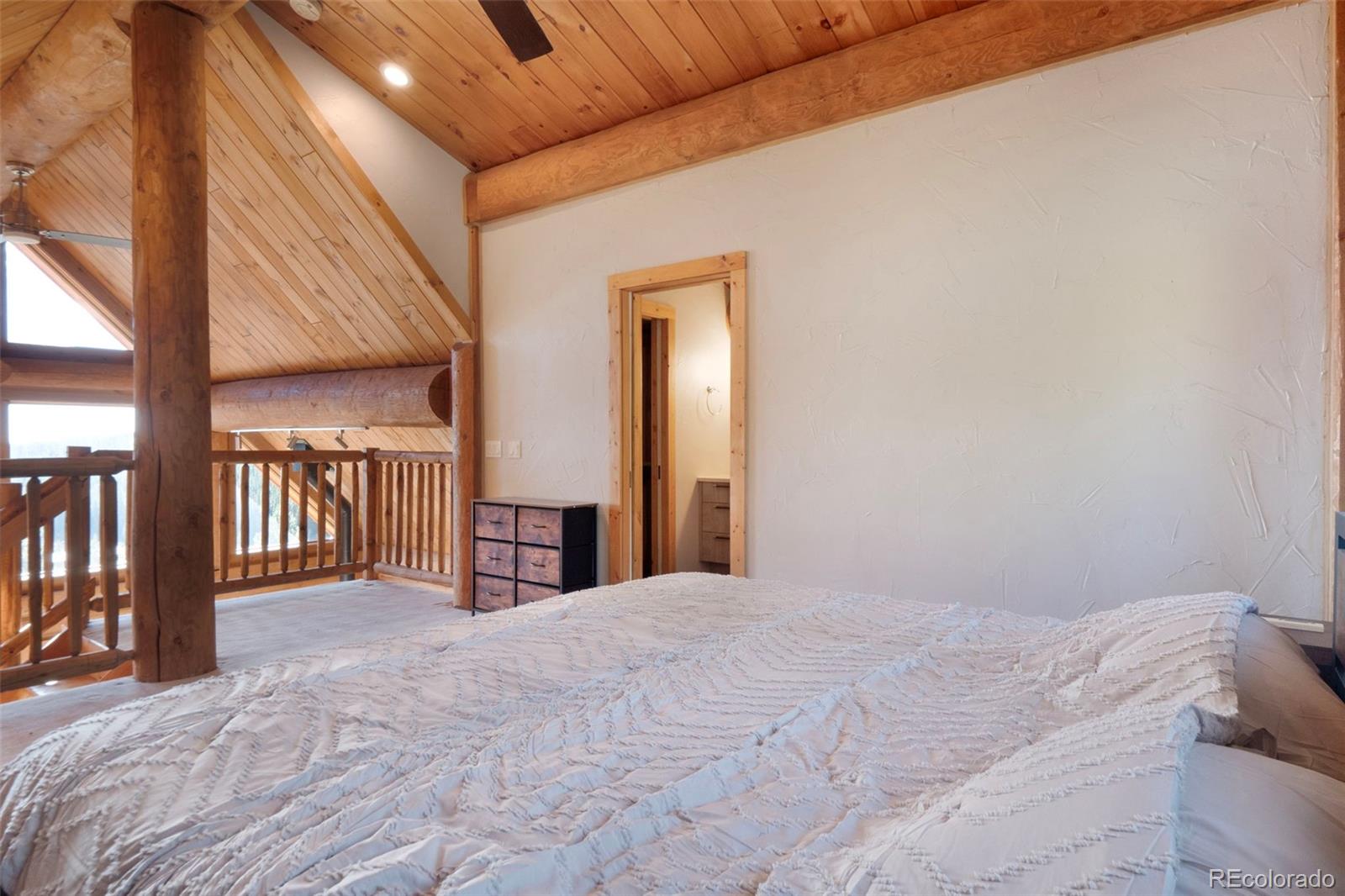 MLS Image #16 for 1204  zebulon street,fairplay, Colorado