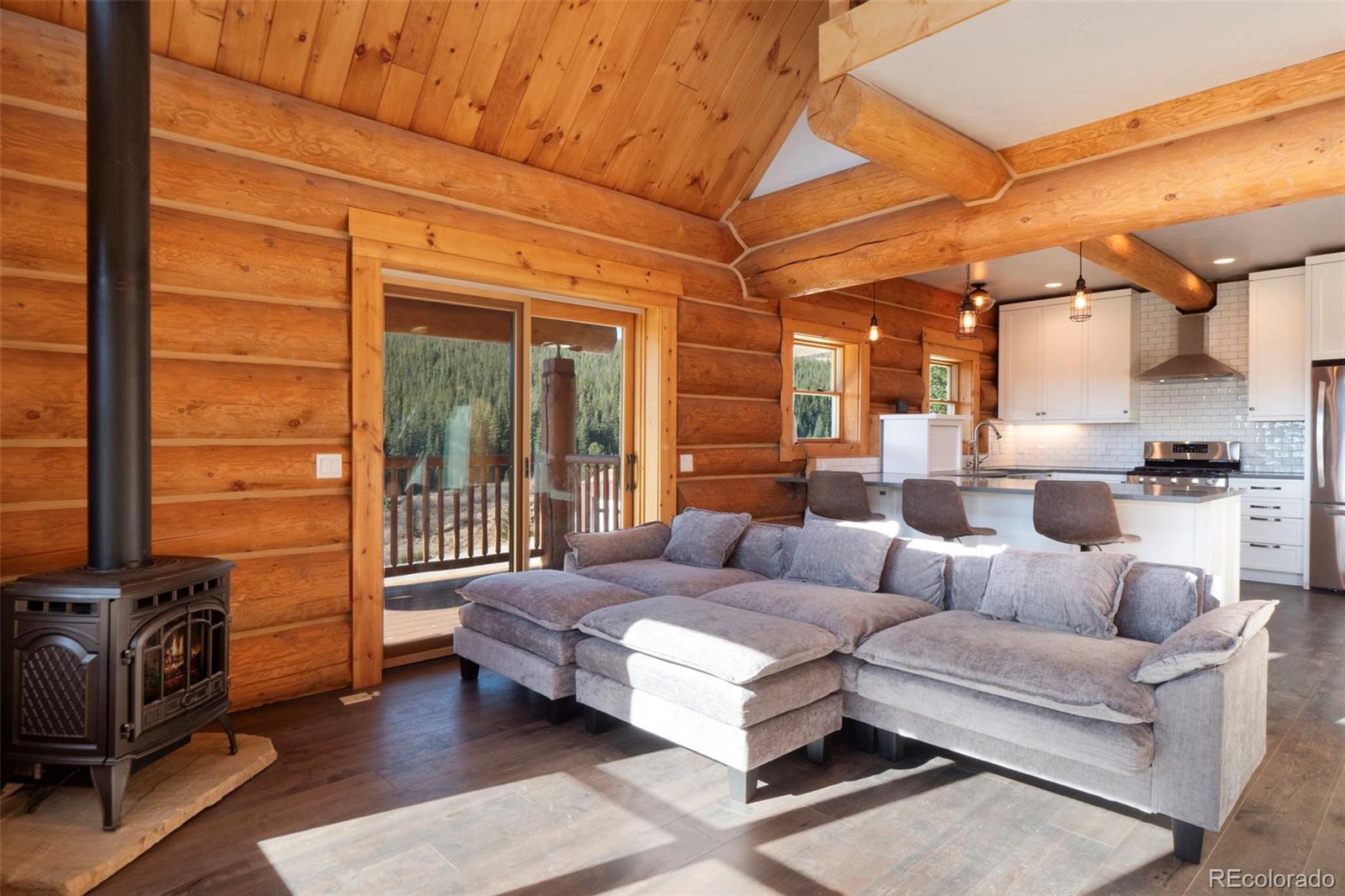 MLS Image #2 for 1204  zebulon street,fairplay, Colorado