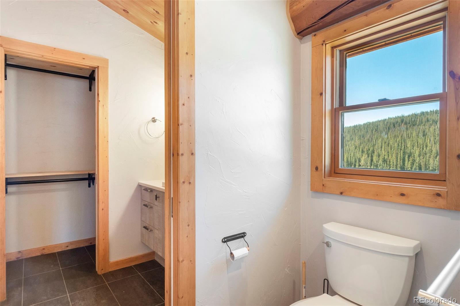 MLS Image #20 for 1204  zebulon street,fairplay, Colorado