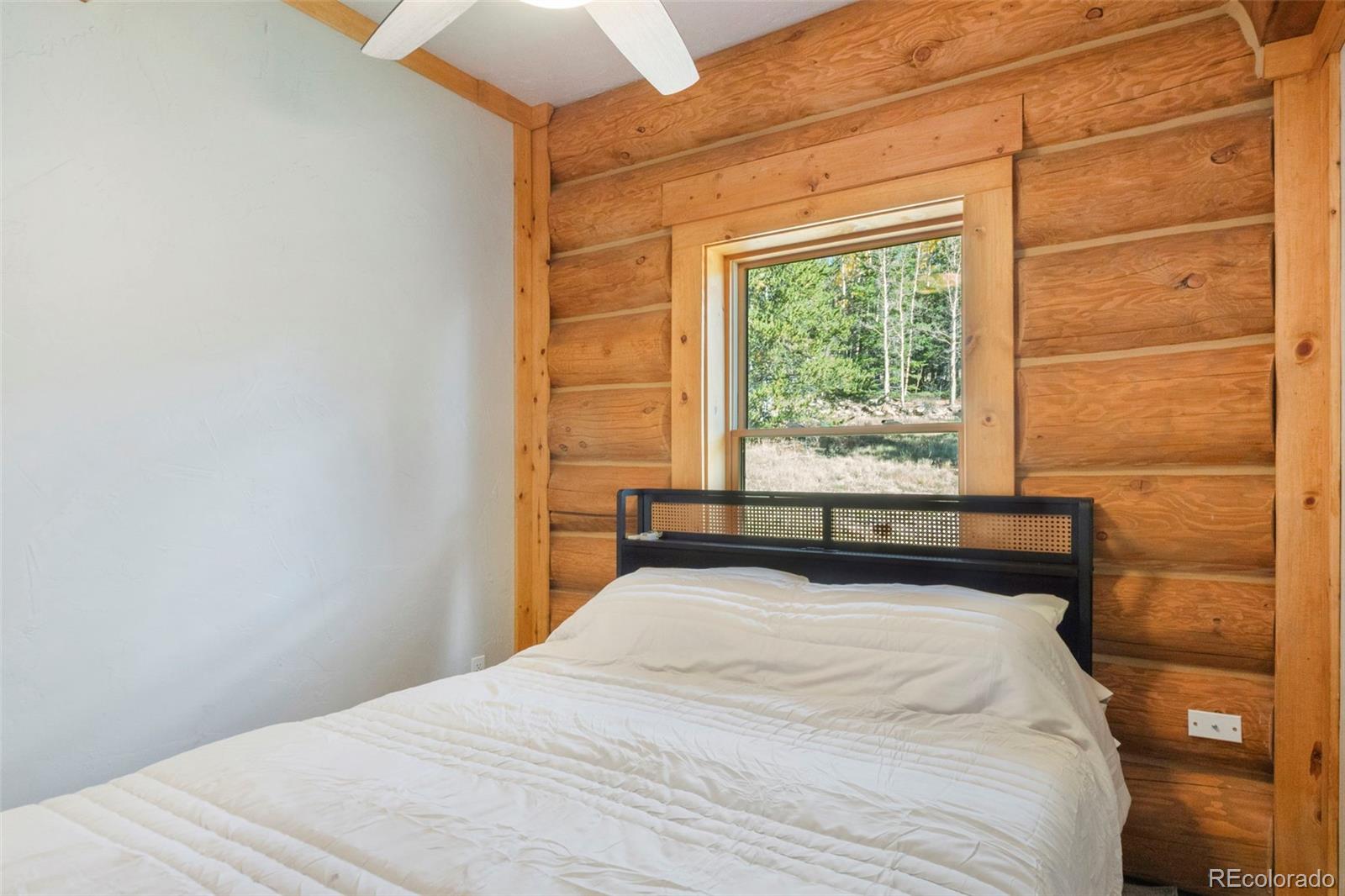 MLS Image #21 for 1204  zebulon street,fairplay, Colorado