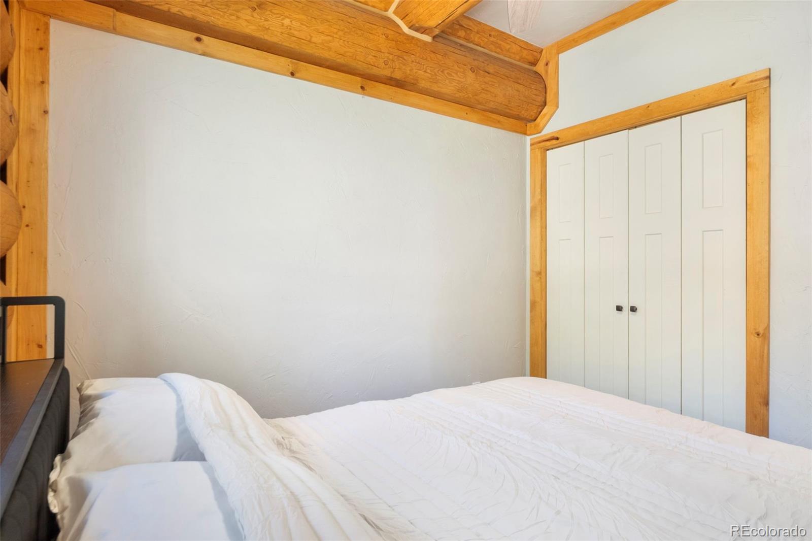 MLS Image #22 for 1204  zebulon street,fairplay, Colorado