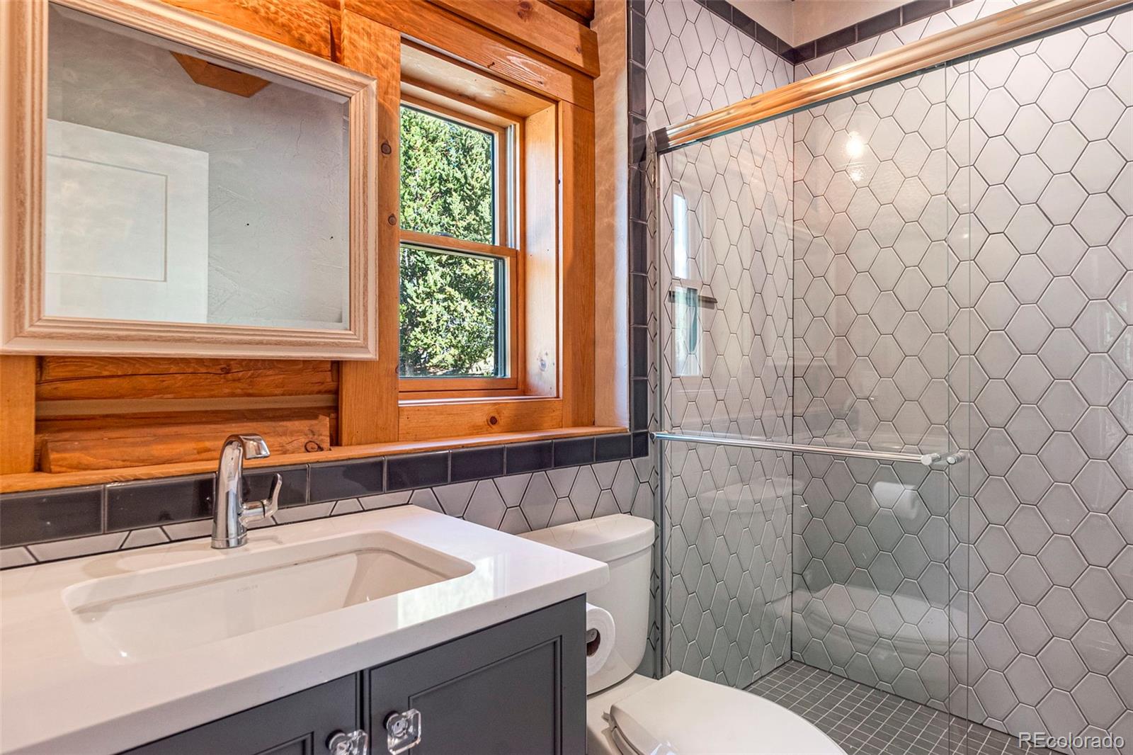 MLS Image #23 for 1204  zebulon street,fairplay, Colorado