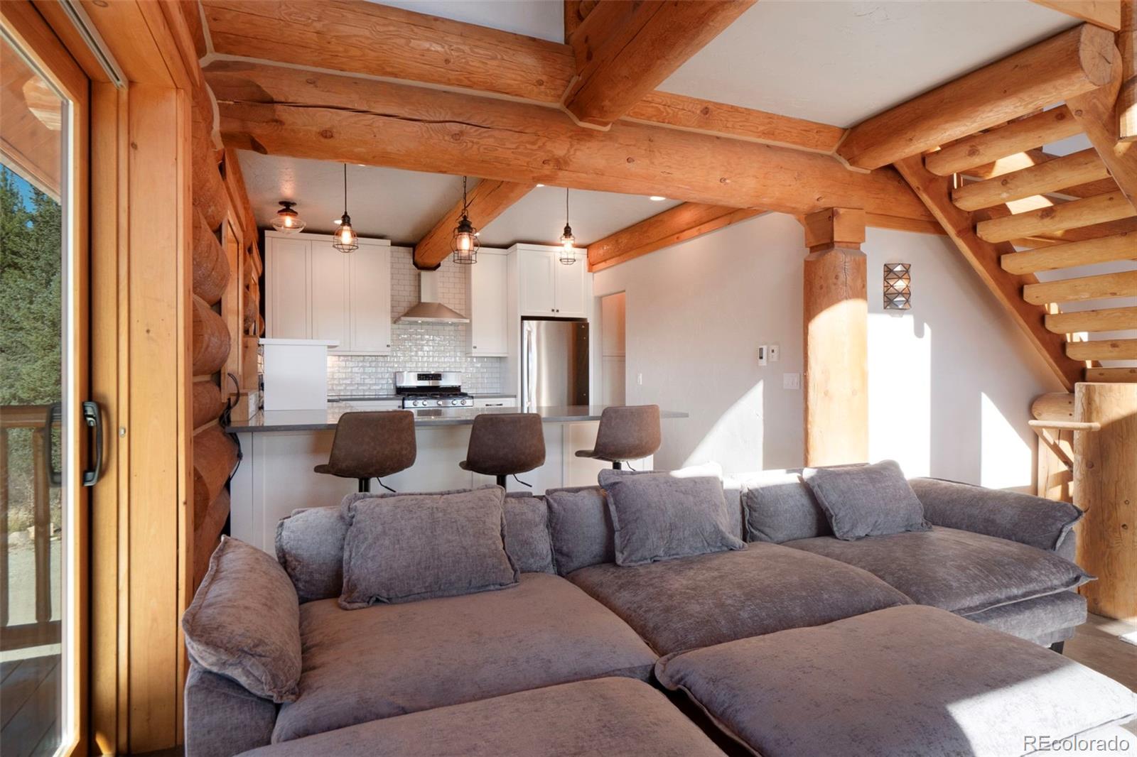 MLS Image #3 for 1204  zebulon street,fairplay, Colorado