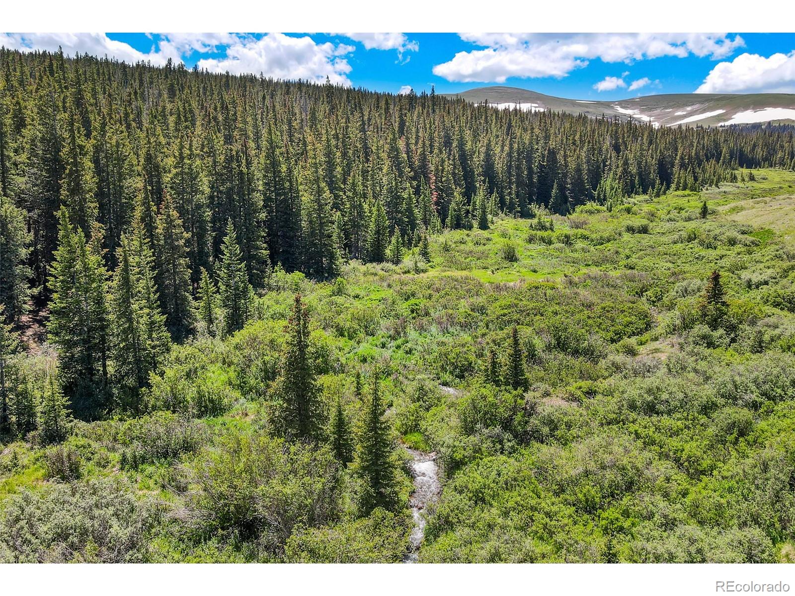 MLS Image #39 for 1204  zebulon street,fairplay, Colorado