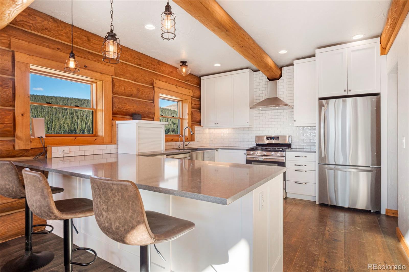 MLS Image #4 for 1204  zebulon street,fairplay, Colorado